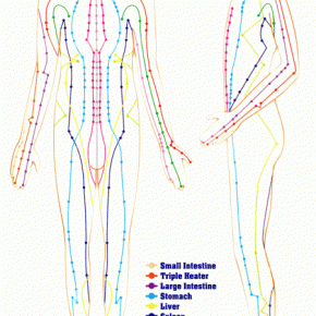 The 12 Main Meridians