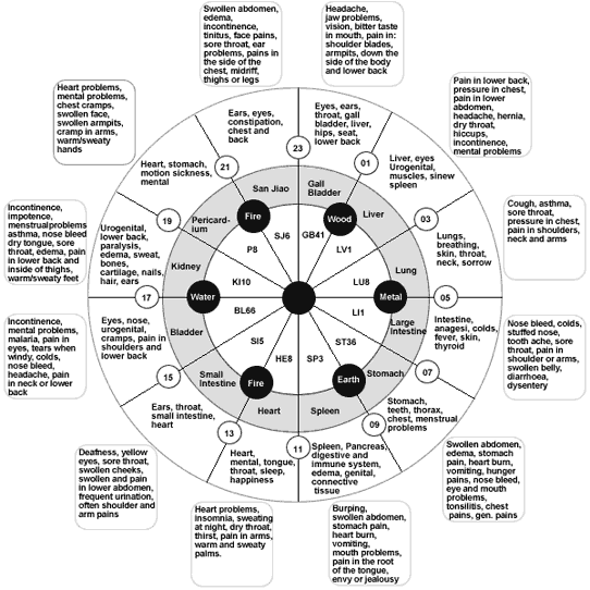 The 12 Main Meridians The Family Healing Spot Acupuncture, Herbs, Qi